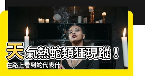 看到死蛇代表什麼